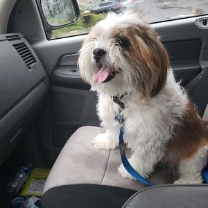 Meet your Posher, Frank